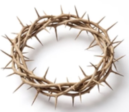 Crown of Thorns